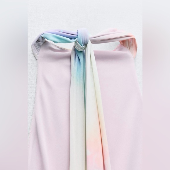 Zara Multicolor Short Printed Tulle Dress - Picture 9 of 9